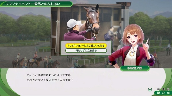 Winning Post 10 シリーズ30周年記念プレミアムボックス【PS4】(KTGS