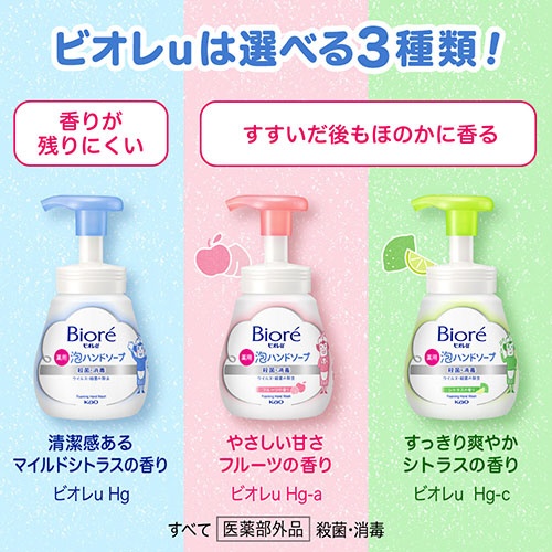 Biore ビオレu 泡ハンドソープ ポンプ 本体 240mL マイルド