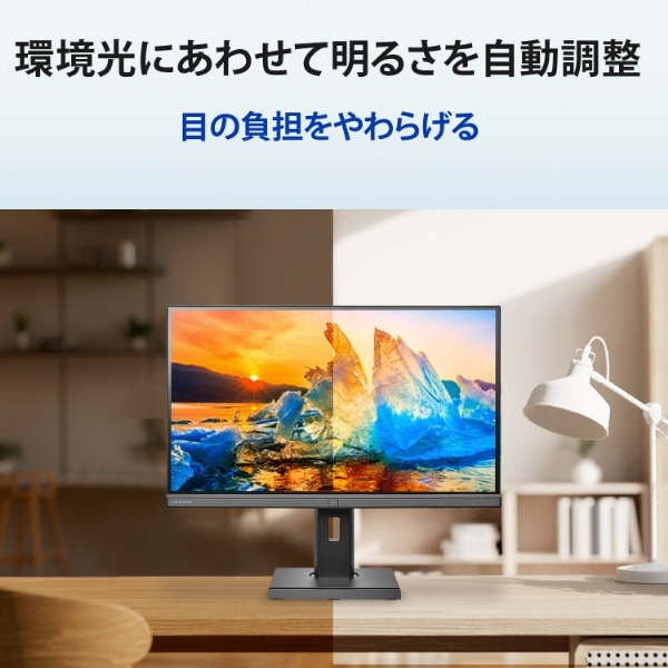 USB-C接続 PCモニター フリースタイルスタンド＆USB-C「BizCrysta