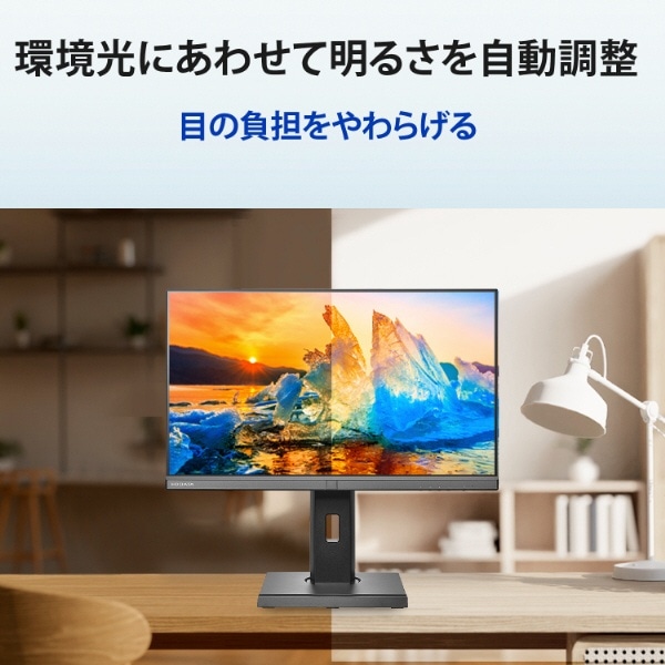 USB-C接続 PCモニター フリースタイルスタンド＆USB-C「BizCrysta