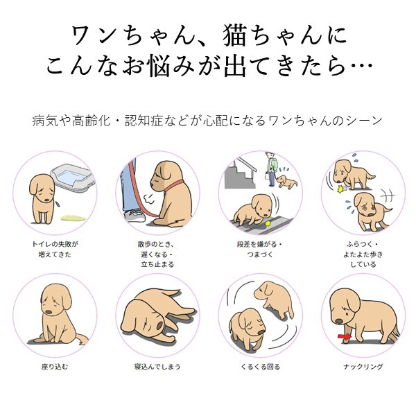 コロバニィ ペタプラス 犬猫用腹巻き HARAMAKI レッド 3L 本体胴囲