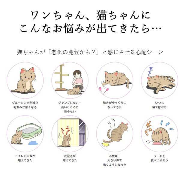 コロバニィ ペタプラス にゃんくるバンド（ちりめん） 猫・小型犬用