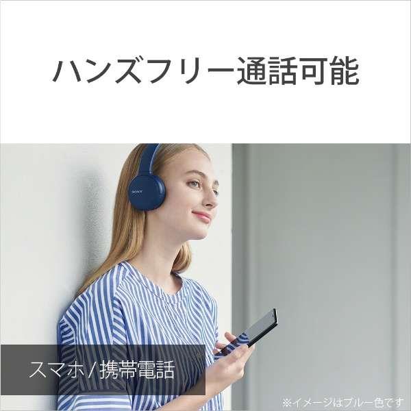 ソニー ブルートゥースヘッドホン ブラック Wh Ch510 Bz リモコン マイク対応 Bluetooth ビックカメラ Jre Pointが 貯まる 使える Jre Mall