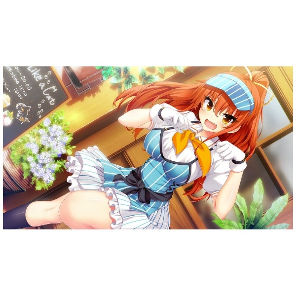 ノラと皇女と野良猫ハート HD 通常版【PS4】 【代金引換配送不可】(ﾉﾗ 