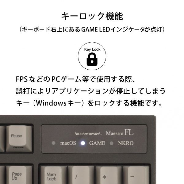 MaestroFL 英語配列 US 赤軸 メカニカル フル キーボード USB-A / USB