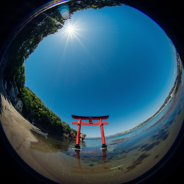 カメラレンズ 4mm F2.8 Circular Fisheye [マイクロフォーサーズ /単