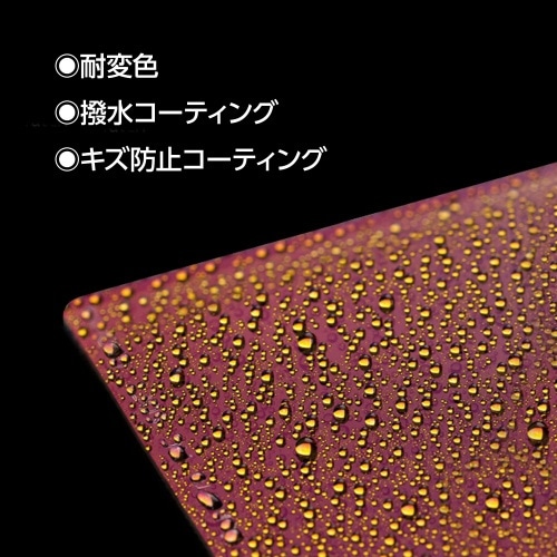 レッドダイヤモンド ND4.5（32000×）フィルター 100×100mm HAIDA
