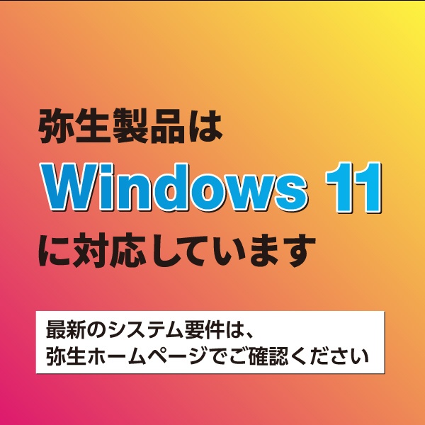 弥生会計 22 プロフェッショナル 2ユーザー 通常版 [Windows用