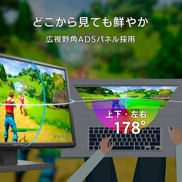 ゲーミングモニター GigaCrysta ブラック LCD-GC222SXDB [21.5型 /フル