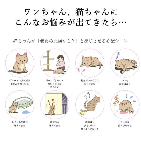 コロバニィ ペタプラス 犬猫用腹巻き HARAMAKI グレー S 本体胴囲