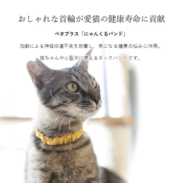 コロバニィ ペタプラス にゃんくるバンド（ちりめん） 猫・小型犬用