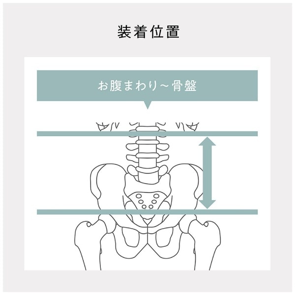 姿勢サポート Lumbar Active（ランバーアクティブ） Style（スタイル