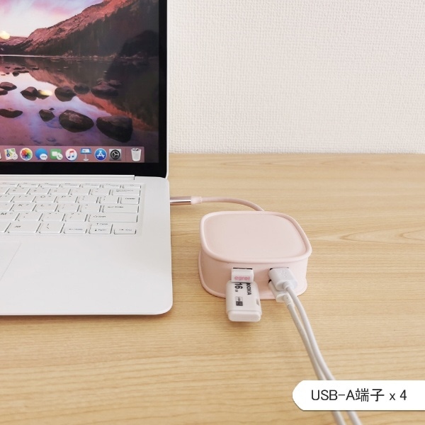USB-C オス→メス カードスロットｘ2 / HDMI / LAN / USB-Aｘ4 / USB