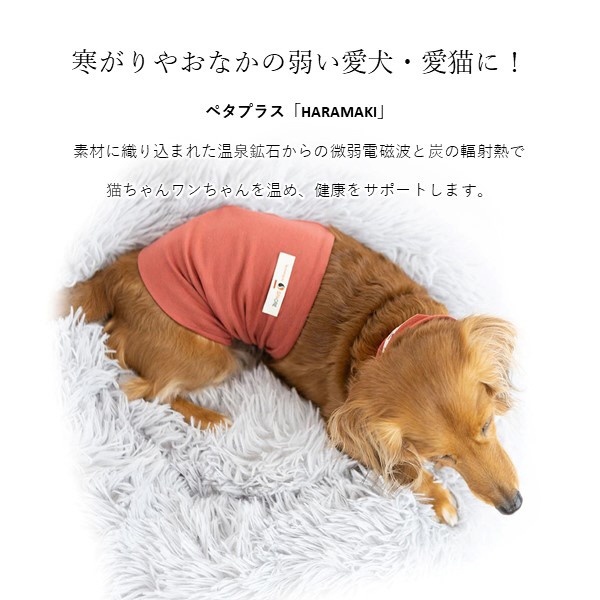 コロバニィ ペタプラス 犬猫用腹巻き HARAMAKI グレー S 本体胴囲