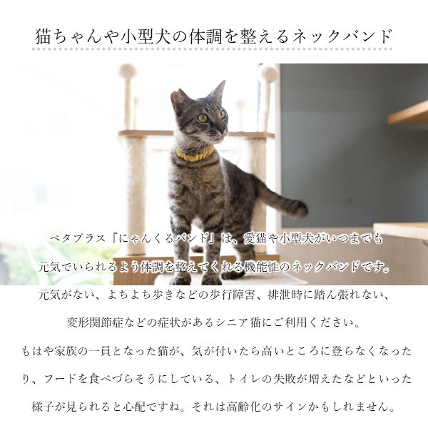 コロバニィ ペタプラス にゃんくるバンド（ちりめん） 猫・小型犬用