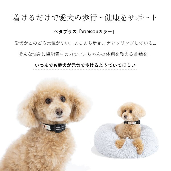 コロバニィ ペタプラス 犬用首輪 YORISOUカラー ブラック S 首周り23