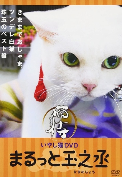 いやし猫 DVD 猫侍 まるっと玉之丞【DVD】(ｲﾔｼﾈｺDVDﾈｺｻﾞﾑﾗｲﾏﾙｯﾄﾀ