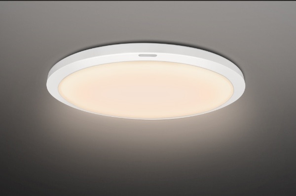 導光板】【全面発光】LEDシーリングライト NLEH12015A-LC [12畳