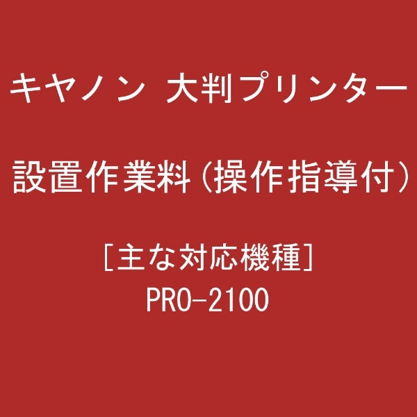 設置作業料(操作指導付_27000) 711ZZ174(711ZZ174): ビックカメラ｜JRE