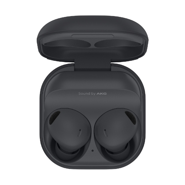 完全ワイヤレスイヤホン Galaxy Buds2 Pro グラファイト SM