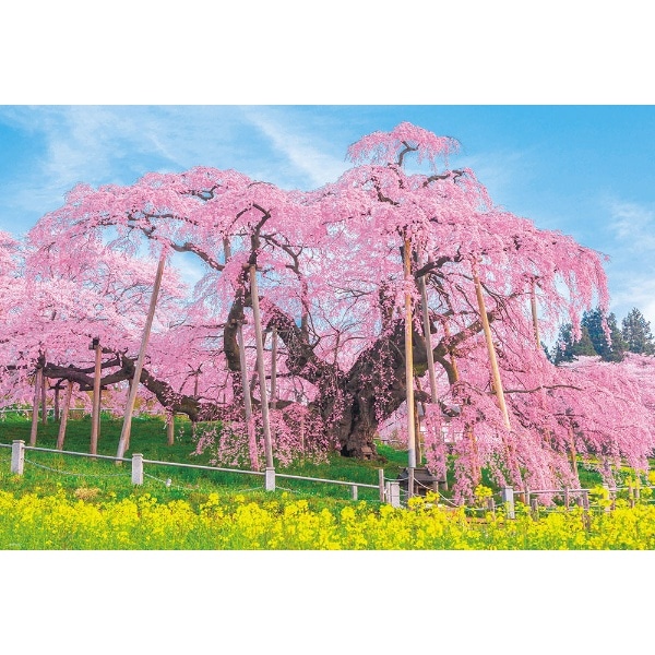 ジグソーパズル 1000-049 三春の滝桜(1000049ﾐﾊﾙﾉﾀｷｻﾞｸﾗ 