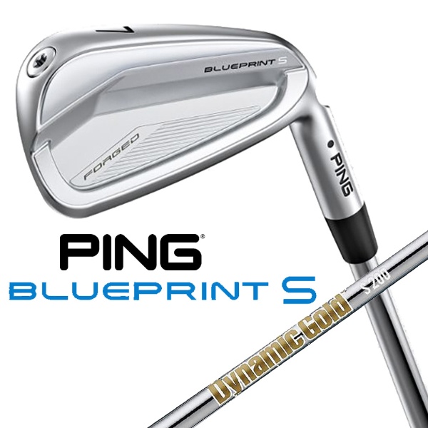 アイアン BLUEPRINT S IRON [22.5° /5° /DGS200 /S200 /右利き用