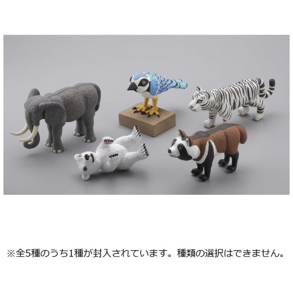 三沢厚彦 ANIMALS フィギュアコレクション１ 【代金引換配送不可