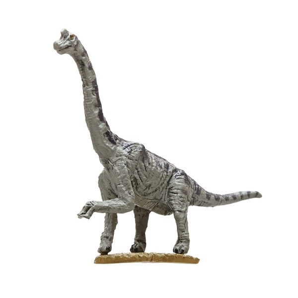 売り本物新品＠恐竜　FDS608 プテラノドン スケルトンモデル 70108 生き物