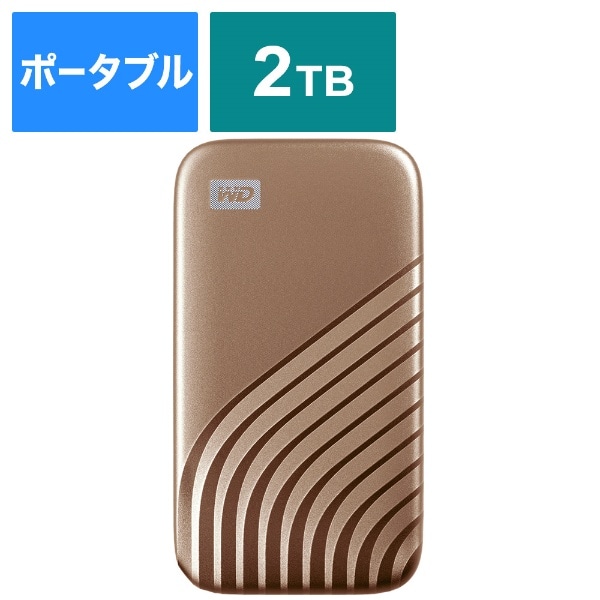 WDBAGF0010BGD-JESN 外付けSSD USB-C＋USB-A接続 My Passport SSD 2020