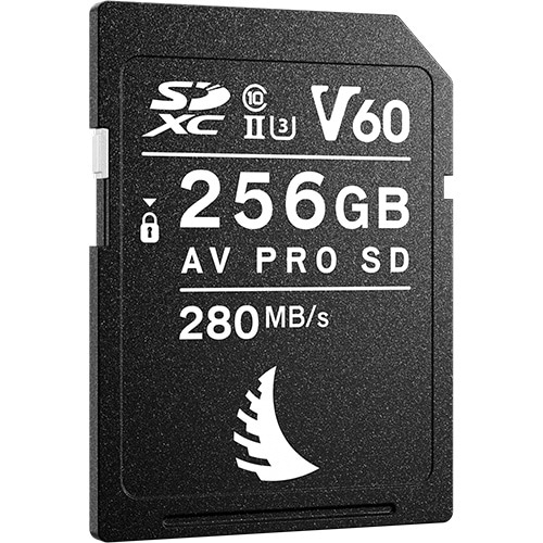 SDXCJ[h AV PRO SD MK2 256GB V60 AVP256SDMK2V60