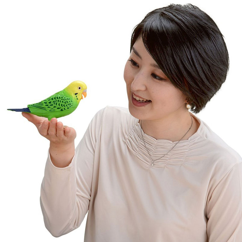 毎日おしゃべり 天才インコちゃん グリーン 送料無料(グリーン