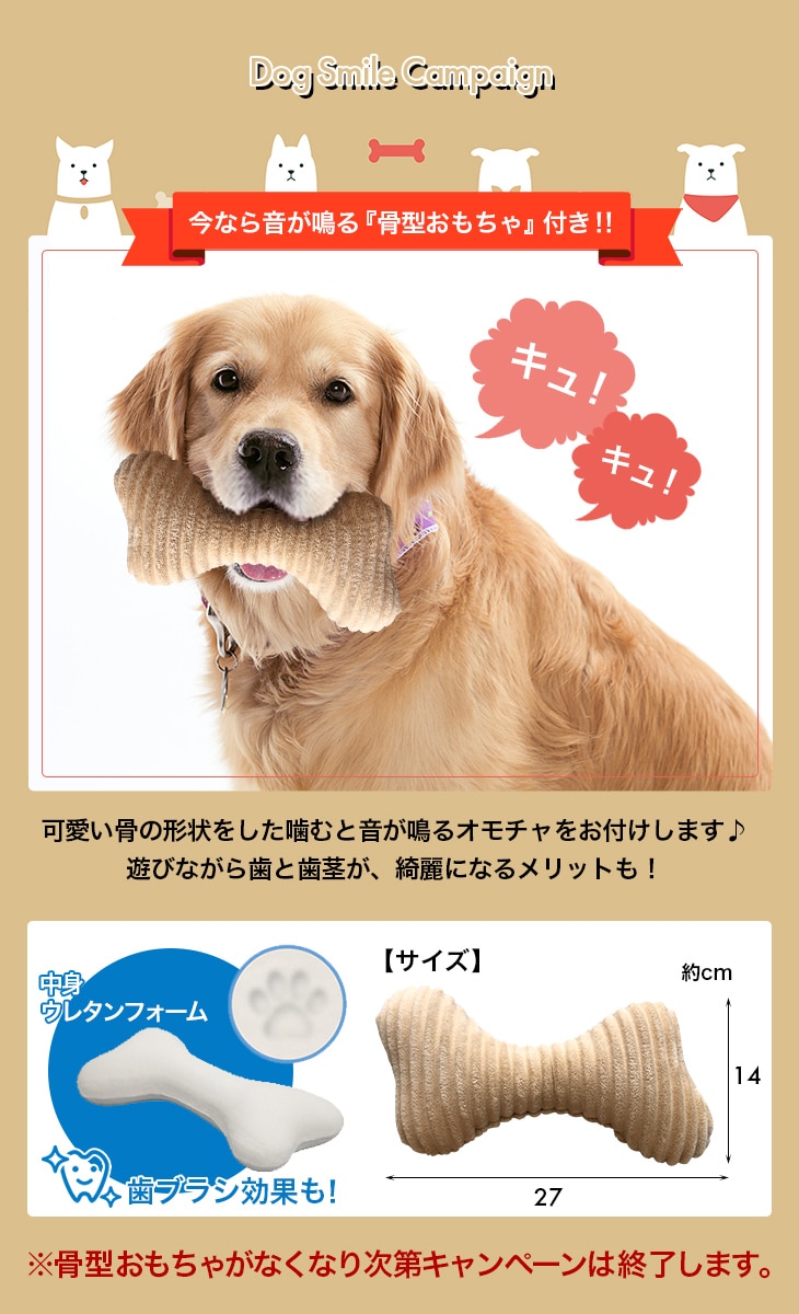 買収 犬 ベッド ペット 高反発ペットベッド ボックス型 カドラータイプ Lサイズ 送料無料 recantosolasol.com.br