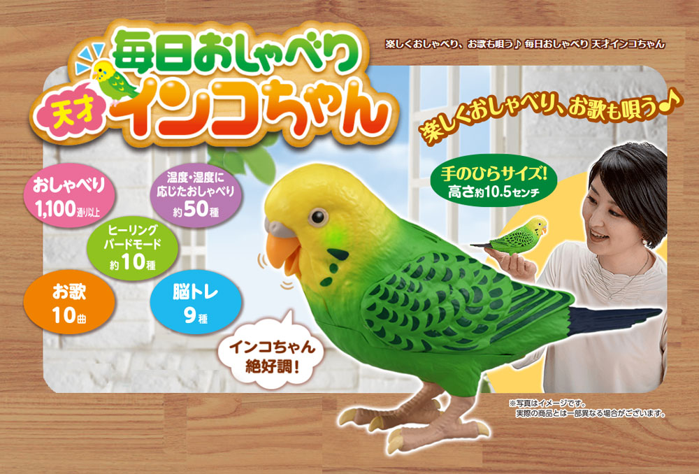 2021高い素材 毎日おしゃべり天才インコちゃん 送料無料 fucoa.cl