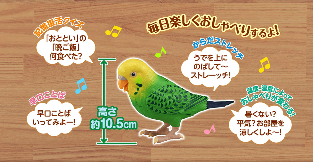 2021高い素材 毎日おしゃべり天才インコちゃん 送料無料 fucoa.cl