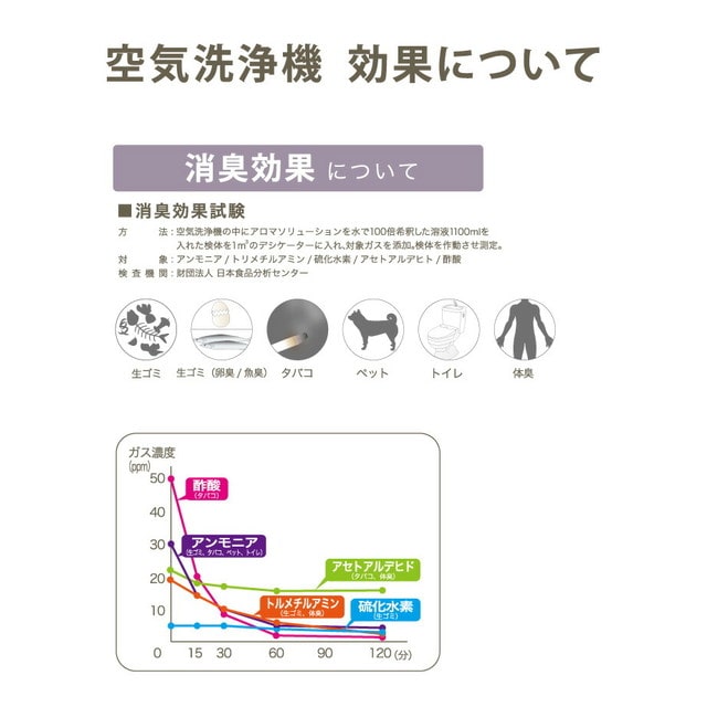 空気洗浄機 セルバ S アロマディフューザー コンパクト 卓上 USB 木目