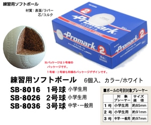 PROMARK プロマーク 練習用 ソフトボール 2号球 小学生用 6球入 SB