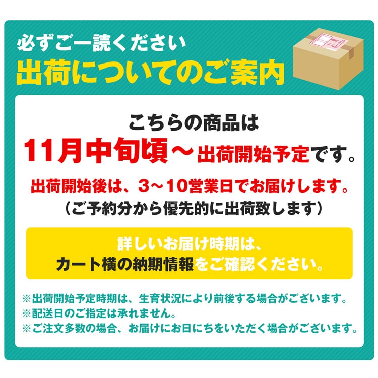 みかん 10kg 味まるみかん 大玉 糖度12度 長崎県産 ご家庭用 味まる 2L