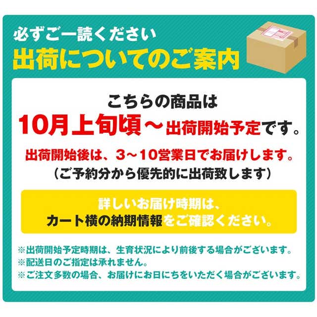 みかん 5kg 汐みかん 品種おまかせ 秀品 熊本県産 植木町 早生 中生