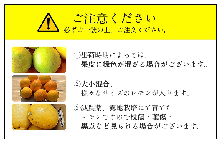 マイヤーレモン レモン 国産 宮崎県産 10kg 防腐剤・防カビ剤