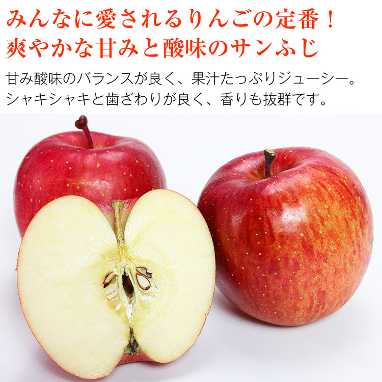 サンふじ 青森県産 ご家庭用 5kg 16ー20玉 りんご リンゴ 林檎 ふじ