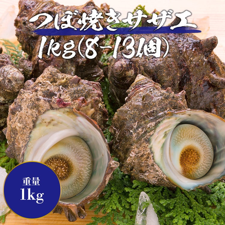 サザエ さざえ バーベキュー BBQ 1kg 8～13個 海鮮 魚介 中サイズ ツボ