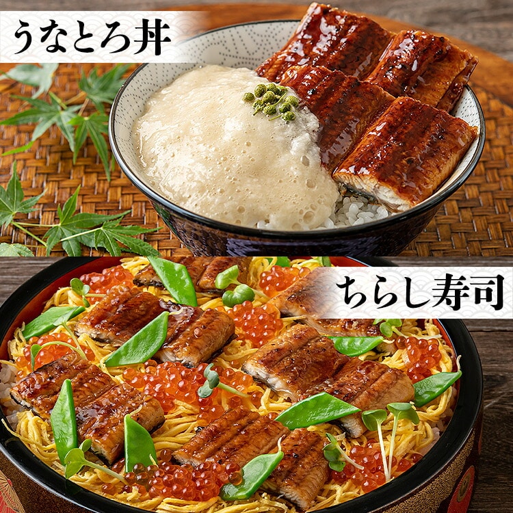 うなぎ 鰻 国産 うなぎ蒲焼き 約150g×2尾 2本 風呂敷包み 鹿児島県産 送料無料 冷凍便 プレゼント: 食の達人お取り寄せグルメ｜JRE  MALL