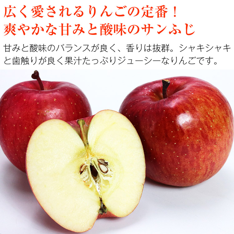 りんご 5kg サンふじ 長野県産 秀品 16-20玉 常温便 同梱不可 指定日不可 りんご リンゴ 林檎 フルーツ 果物 旬:  食の達人お取り寄せグルメ｜JRE MALL