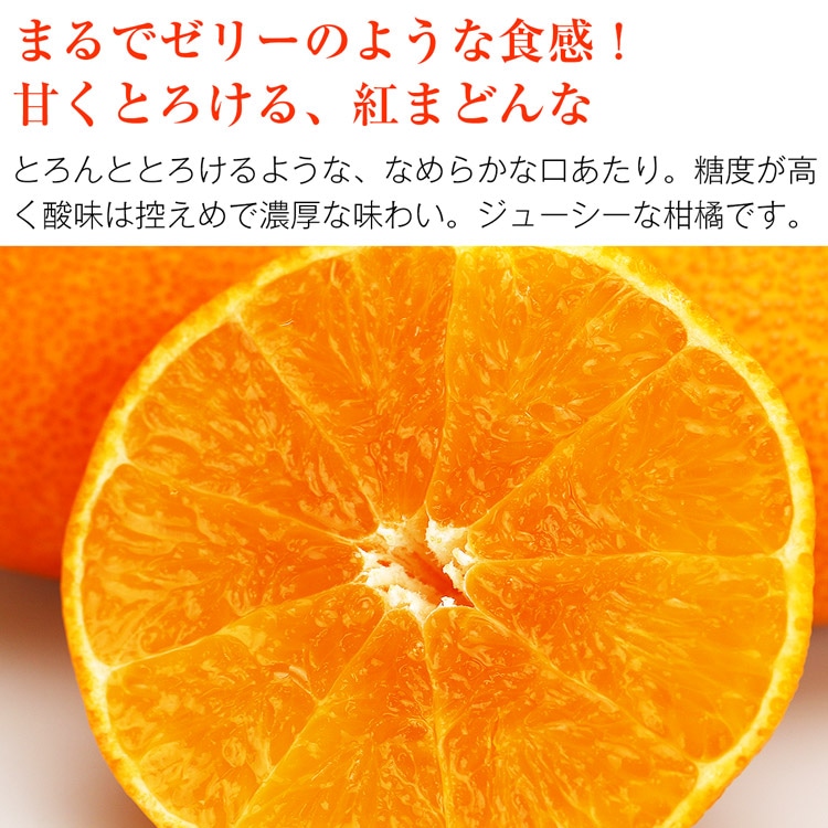 紅まどんな 3kg 愛媛県産 秀品 贈答 ギフト 15玉 Lサイズ 青秀 以上 JAえひめ中央 常温便 同梱不可 指定日不可 ミカン 蜜柑 旬:  食の達人お取り寄せグルメ｜JRE MALL