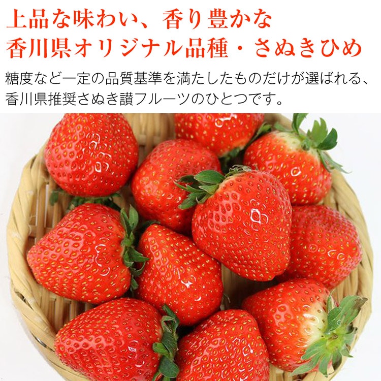 さぬきひめ いちご 2パック 合計約520g 香川県産 イチゴ 苺 さぬき姫 
