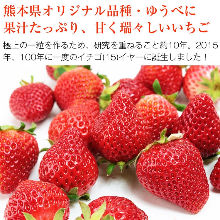 ゆうべに いちご 熊本県産 2パック 約500g (1パック約250g) 秀品 3L 