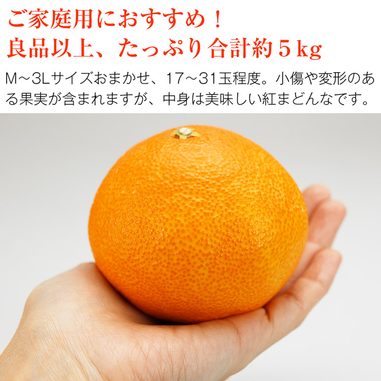 紅まどんな 5kg 愛媛県産 ご家庭用 17-31玉程度 M-3Lサイズおまかせ 良品以上 JAえひめ中央 常温便 同梱不可 指定日不可 ミカン 蜜柑  柑橘: 食の達人お取り寄せグルメ｜JRE MALL