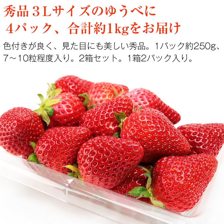 フルーツ規格外イチゴバラ詰 大小混ゆうべにイチゴ1.8k×4箱 15000 ...
