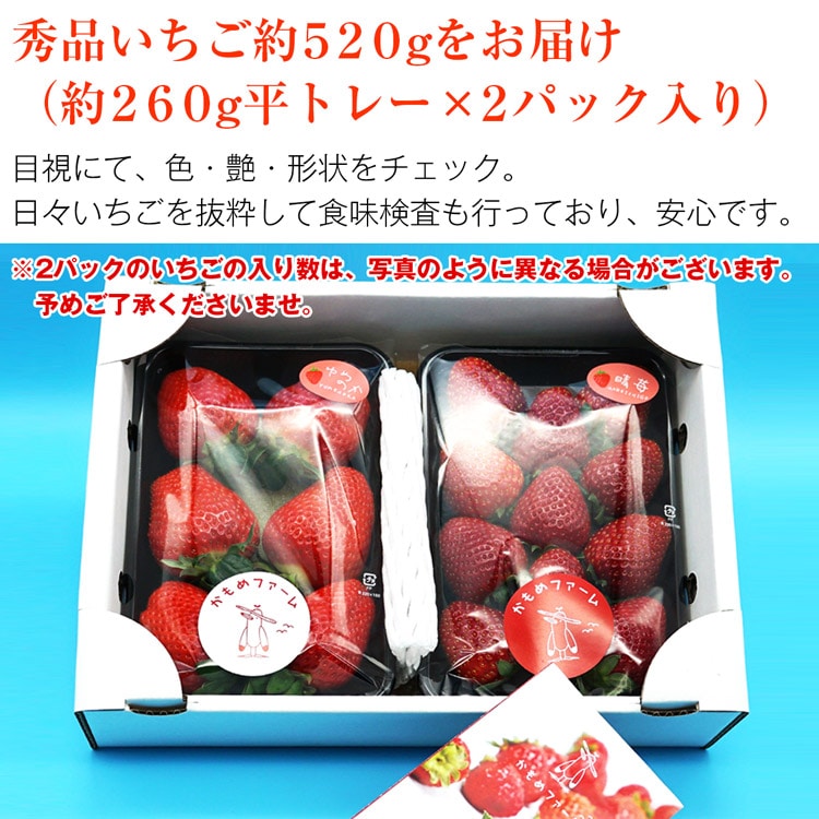 【大人気豊富な】strawberry様確認用 2 アンクレット