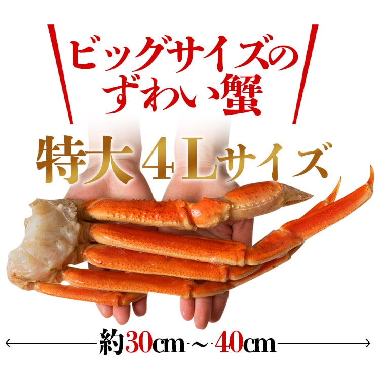 特大4Lサイズ ボイル ずわい蟹 3kg 送料無料 冷凍便 蟹 カニ ずわいがに ズワイガニ 送料無料 お取り寄せ 食品 備蓄: 食の達人お取り寄せグルメ｜JRE  MALL